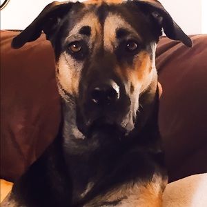 Meet your Posher, Chris